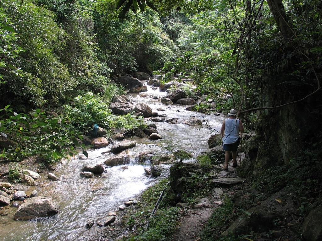Tribal Hills Mountain Resort Puerto Galera Kültér fotó